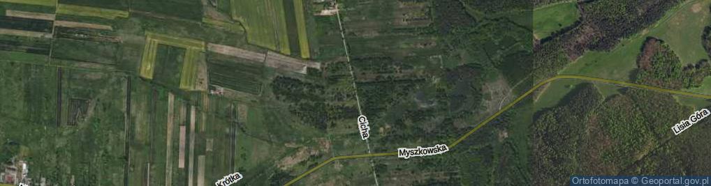 Zdjęcie satelitarne Cicha ul.